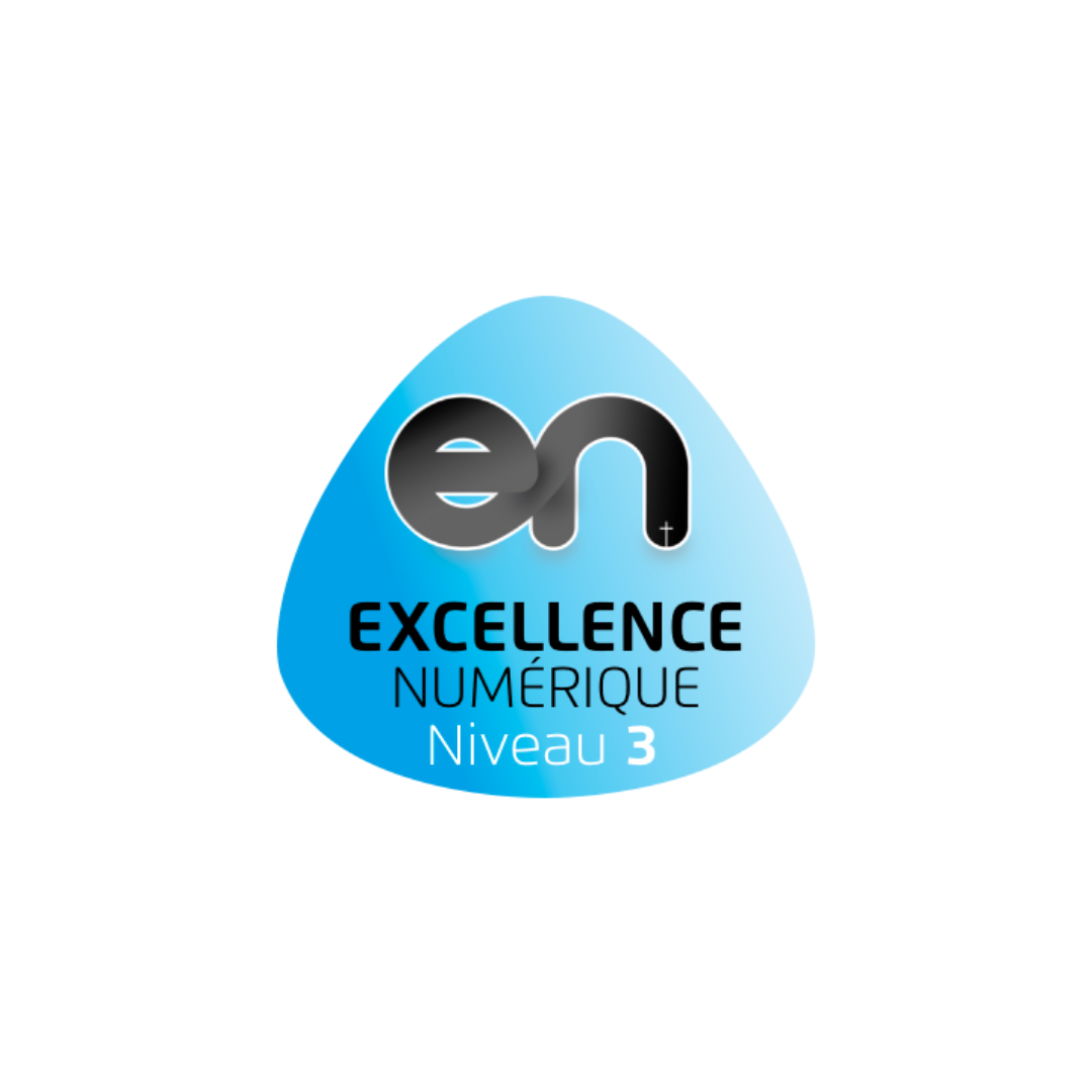 excellence-numerique-niveau-3